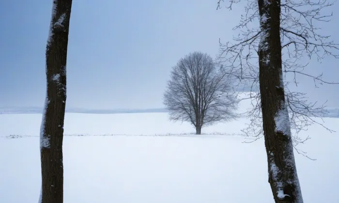 Kostel svaté Markéty (Kašperské Hory) – winter