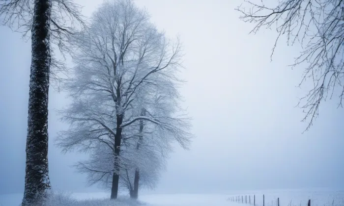 Kostel svatého Jakuba Většího (Boršov nad Vltavou) – winter