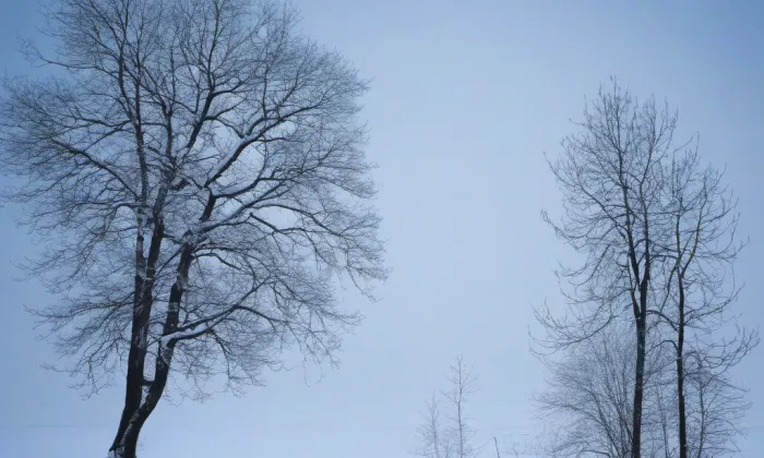 Kostel svatého Jana Křtitele (Janov) – winter