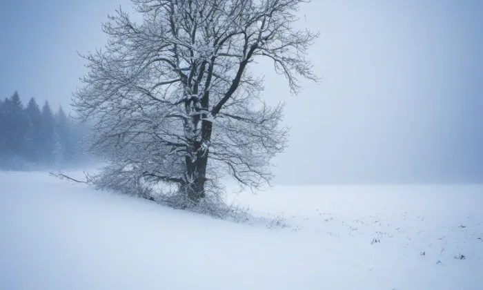 Kostel svatého Jana Křtitele (Jedlí) – winter