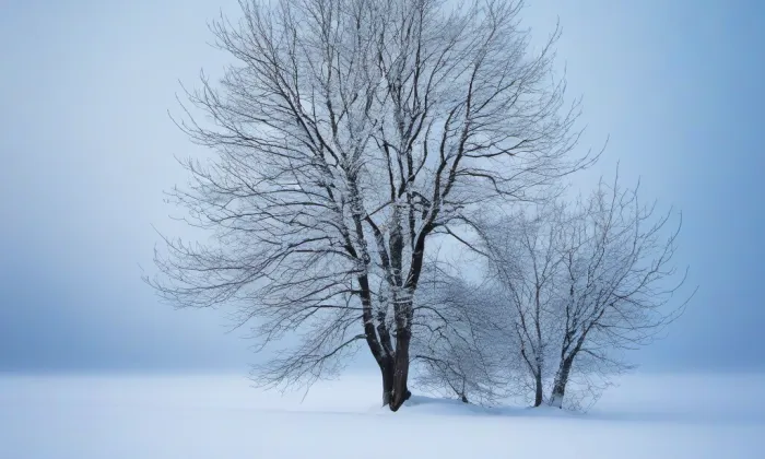 Kostel svatého Jana Křtitele (Střížov) – winter