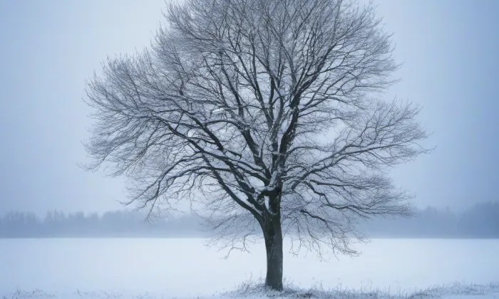 Kostel svatého Jiří (Malešov) – winter