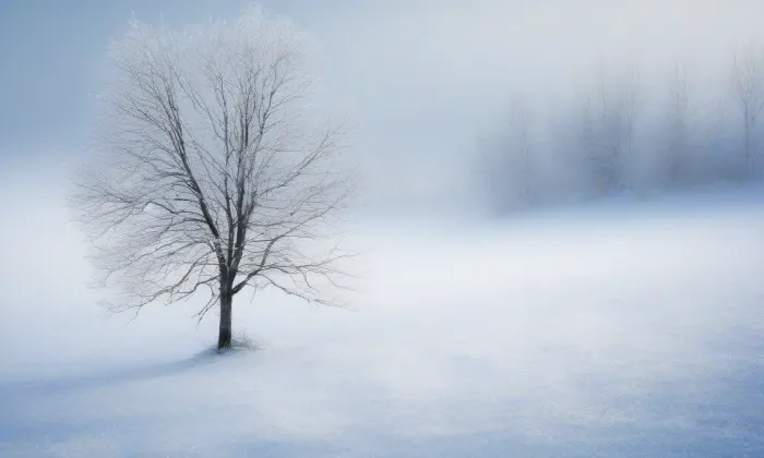 kostel svatého Klimenta (Jasenice) – winter