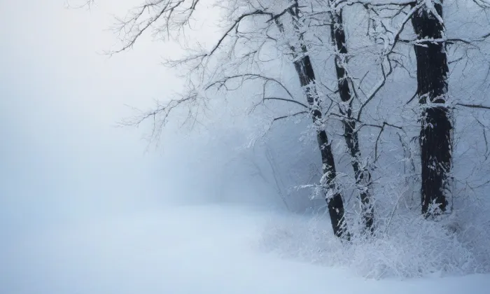 kostel svatého Marka (Těchobuz) – winter