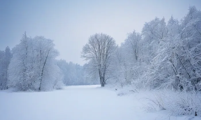 Kostel svatého Martina (Holice) – winter