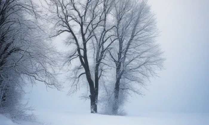 Kostel svatého Matěje v Bechyni – winter