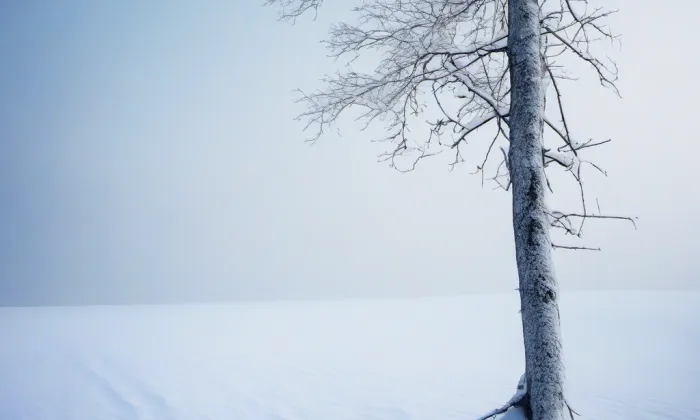 kostel svatého Matouše (Dolany) – winter