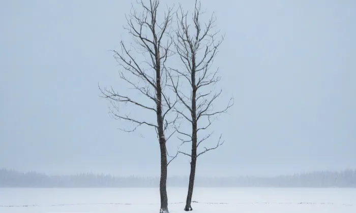 kostel svatého Mikuláše v Březové – winter