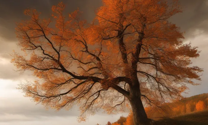 kostel svatého Mikuláše v Osoblaze – autumn