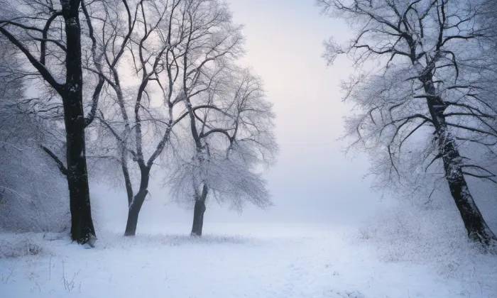 Kostel svatého Norberta ve Střešovicích – winter