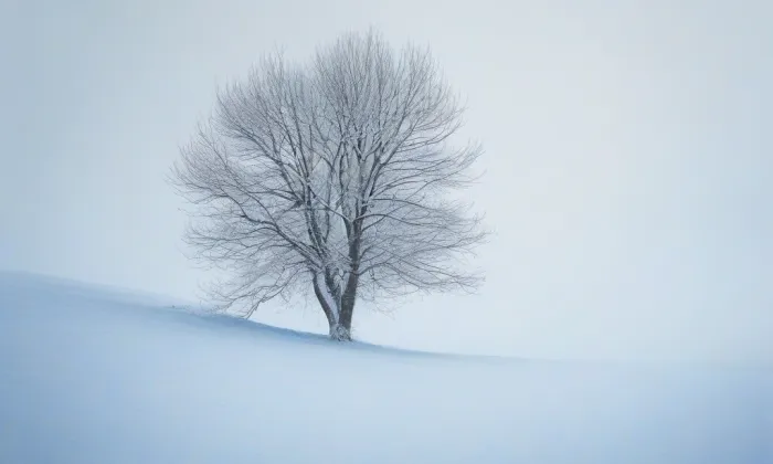 Kostel svatého Petra a Pavla (Podbřežice) – winter
