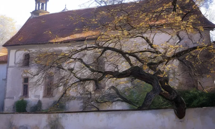 kostel svatého Václava (Jezbořice) – historical