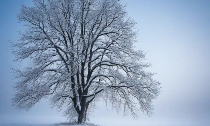 Kostel svatého Vavřince (Krásensko) – winter