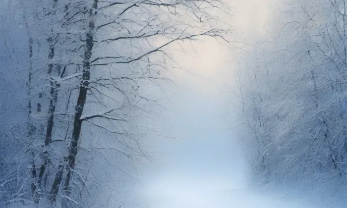 Kozlov – winter
