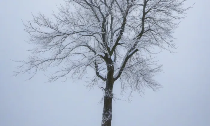 Krbice – winter