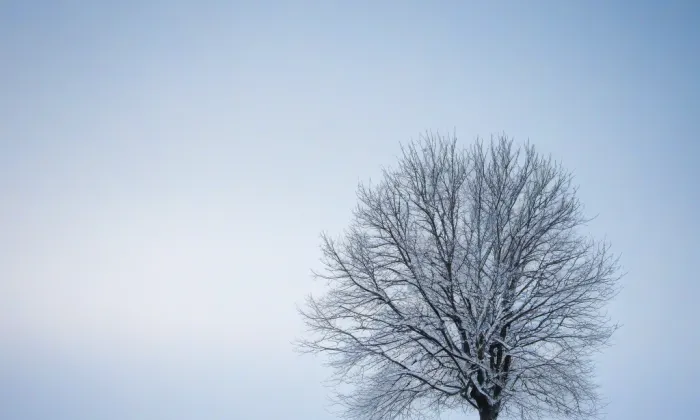 Kulturní dům Domovina – winter