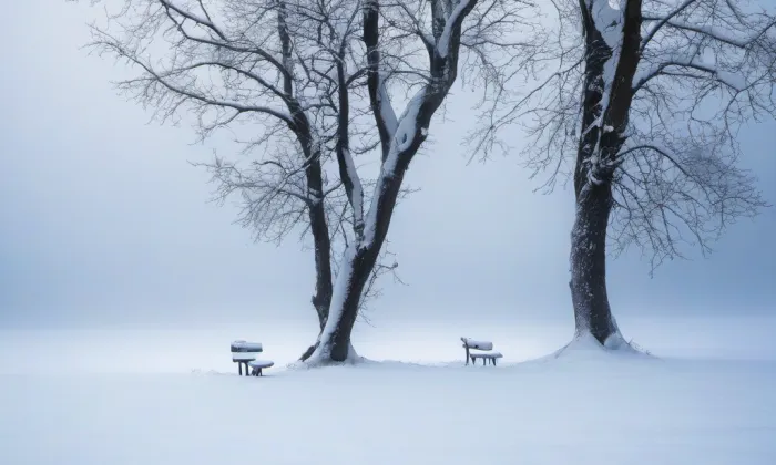 Lannův palác – winter
