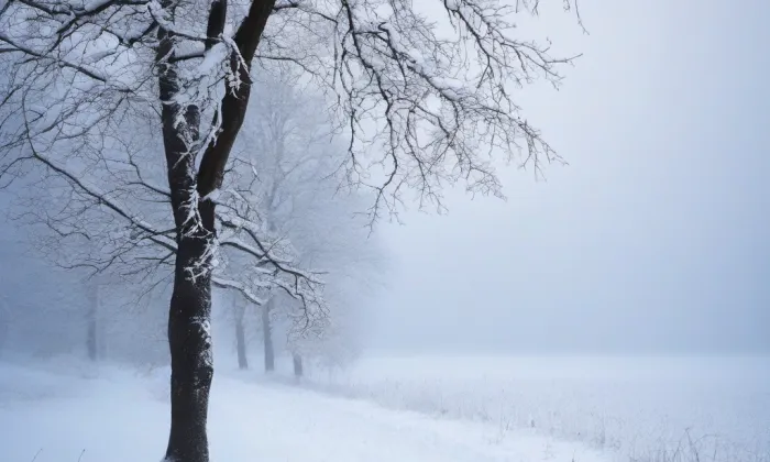 Letohrádek královny Anny – winter