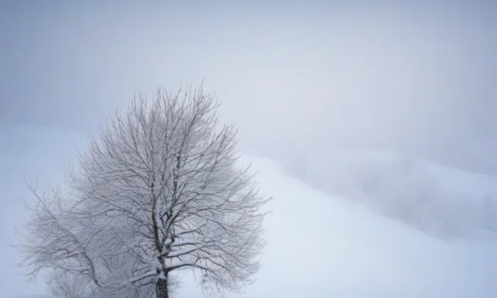 Libouchec – winter