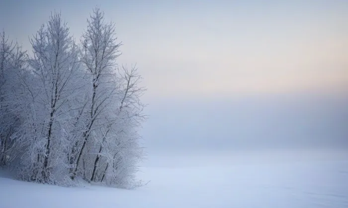 Lipno – winter