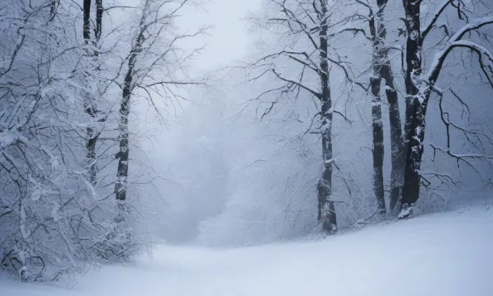 Litýš – winter