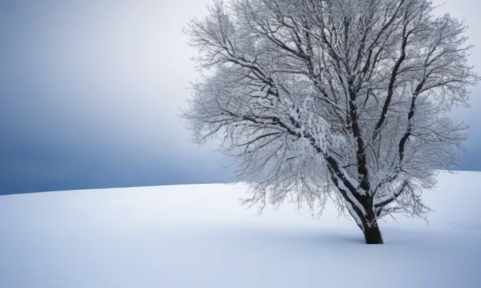 Litultovice – winter