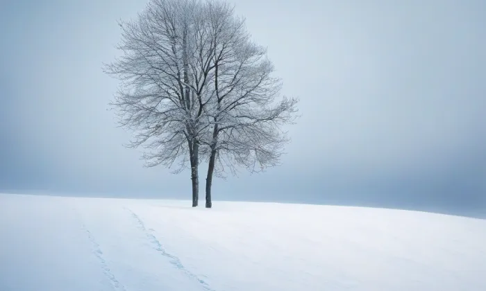 Lochovice – winter