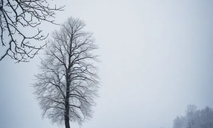 Loket – winter