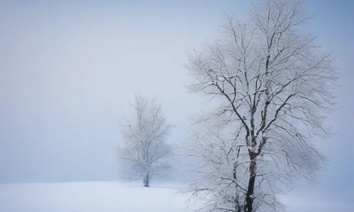 Maceškův palác – winter