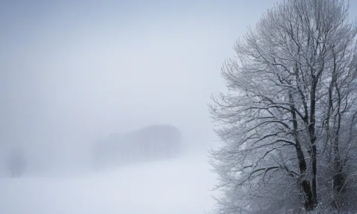 Mazanec – winter