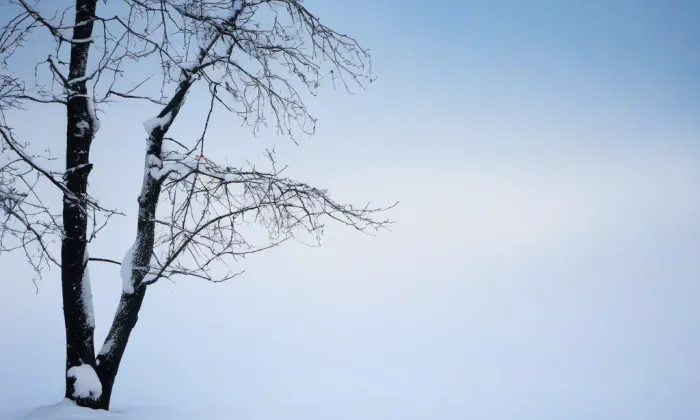 Medlešice – winter
