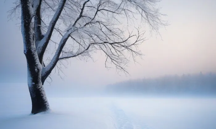 Minoritský klášter v Mostě – winter
