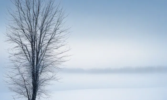 Na Hrázi a Příkop – winter