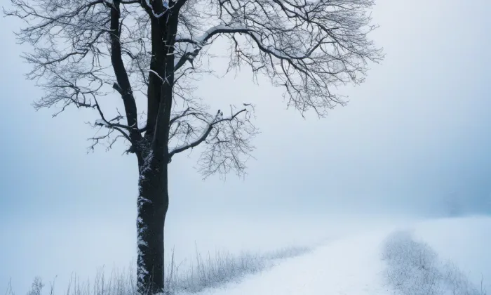 Oborská – winter