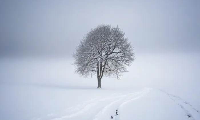 Otaslavice – winter