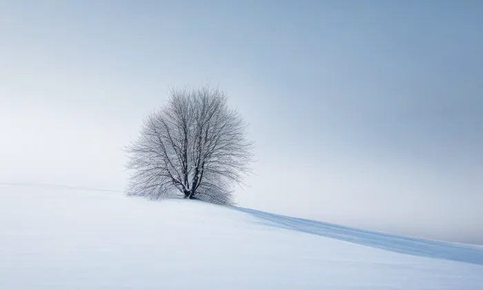 Park Holubička – winter