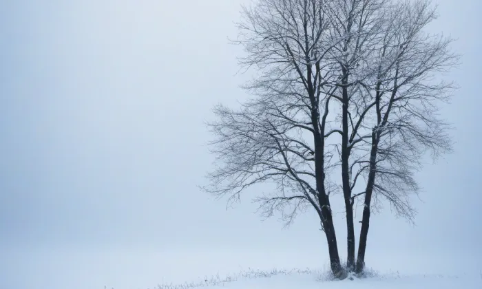 park Petra Bezruče (Klimkovice) – winter