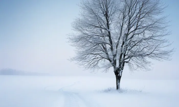 Polský dům – winter