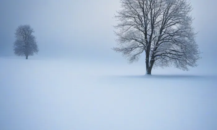 Rábín – winter