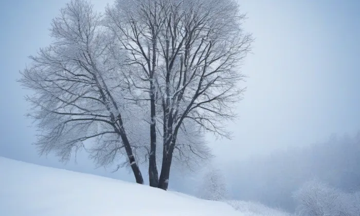Redemptoristická kolej (Jiříkov) – winter