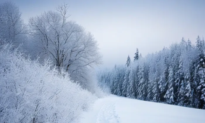 Roškotovo divadlo – winter