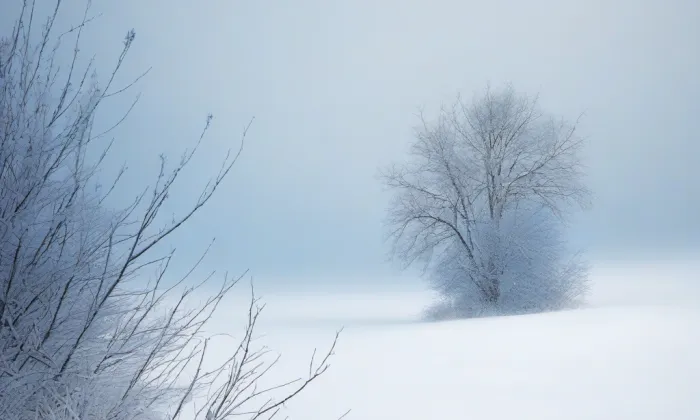 Saská brána – winter