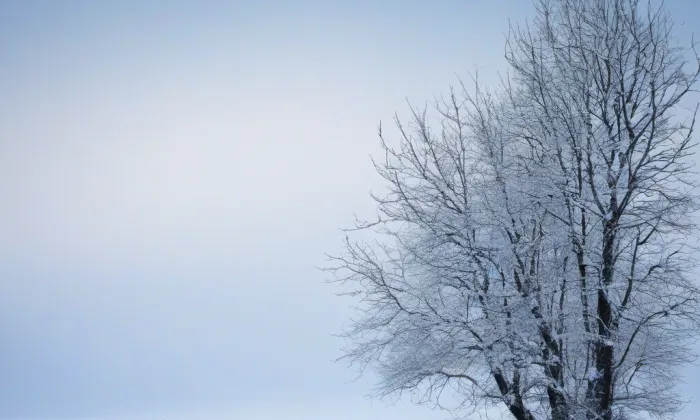 Staré Město – winter