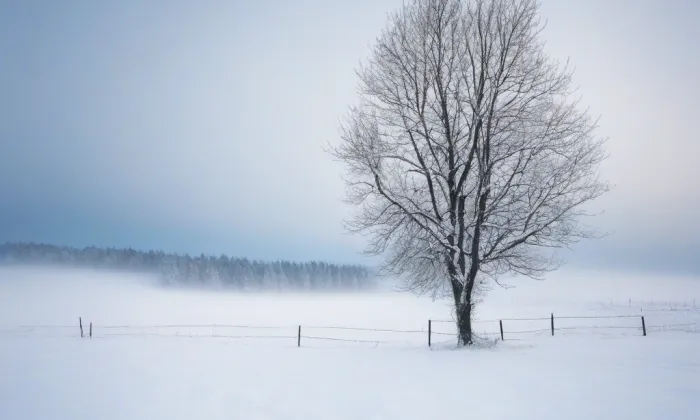 Teplice – winter
