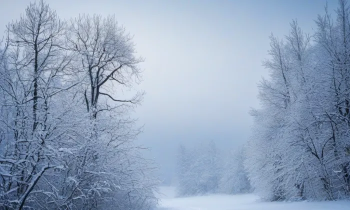 Toušický most – winter