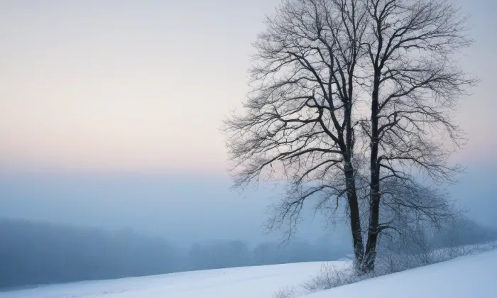 Trasa Spacerowa Rezerwatów – winter