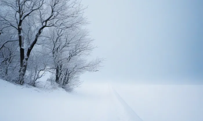 Tyršův sad – winter