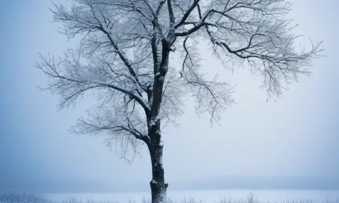Výšinné neopevněné sídliště Landek – winter