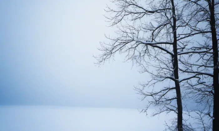 V jirchářích (Praha 1) – winter
