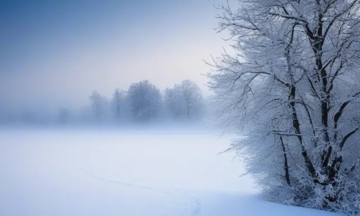 Vildenberk – winter